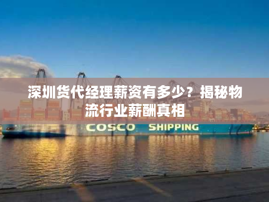 深圳货代经理薪资有多少？揭秘物流行业薪酬真相