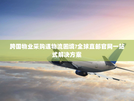 跨国物业采购遇物流困境?全球直邮官网一站式解决方案