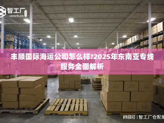 丰顺国际海运公司怎么样?2025年东南亚专线服务全面解析