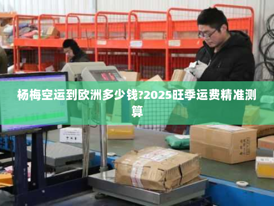 杨梅空运到欧洲多少钱?2025旺季运费精准测算