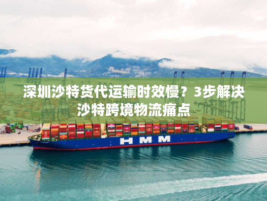 深圳沙特货代运输时效慢?3步解决沙特跨境物流痛点 深圳沙特货代运输时效慢?3步解决沙特跨境物流痛点