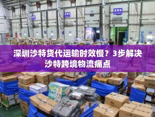 深圳沙特货代运输时效慢?3步解决沙特跨境物流痛点 深圳沙特货代运输时效慢?3步解决沙特跨境物流痛点