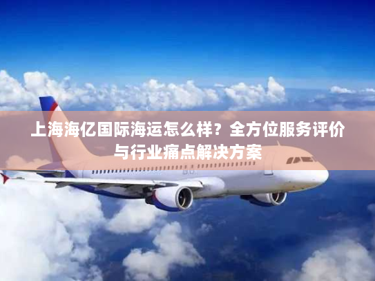 上海海亿国际海运怎么样?全方位服务评价与行业痛点解决方案 上海海亿国际海运怎么样?全方位服务评价与行业痛点解决方案