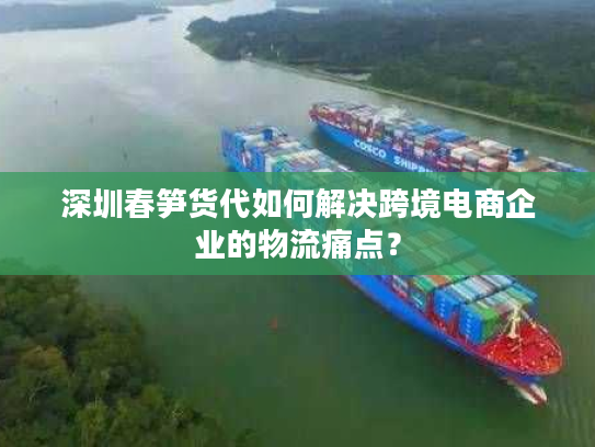 深圳春笋货代如何解决跨境电商企业的物流痛点？