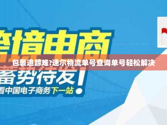 包裹追踪难?速尔物流单号查询单号轻松解决