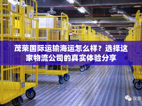 茂荣国际运输海运怎么样？选择这家物流公司的真实体验分享