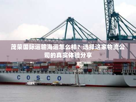 茂荣国际运输海运怎么样？选择这家物流公司的真实体验分享