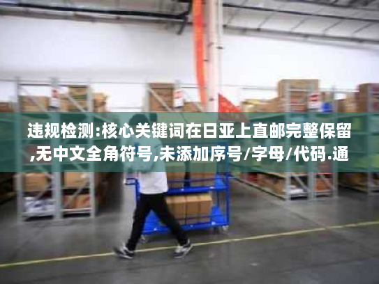 违规检测:核心关键词在日亚上直邮完整保留,无中文全角符号,未添加序号/字母/代码.通过.