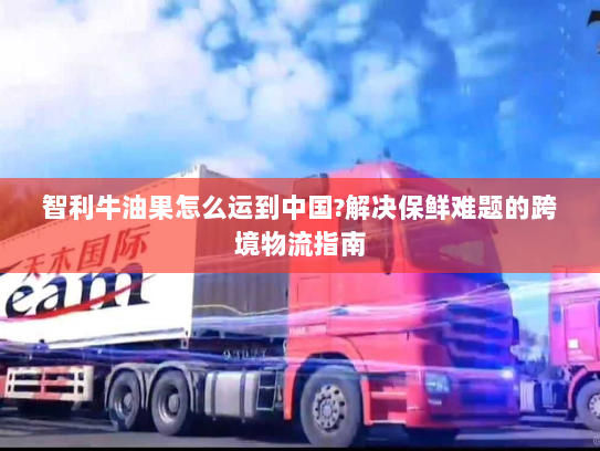 智利牛油果怎么运到中国?解决保鲜难题的跨境物流指南 智利牛油果怎么运到中国?解决保鲜难题的跨境物流指南