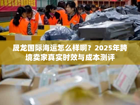 晟龙国际海运怎么样啊?2025年跨境卖家真实时效与成本测评 晟龙国际海运怎么样啊?2025年跨境卖家真实时效与成本测评