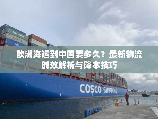 欧洲海运到中国要多久？最新物流时效解析与降本技巧