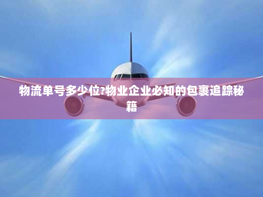 物流单号多少位?物业企业必知的包裹追踪秘籍