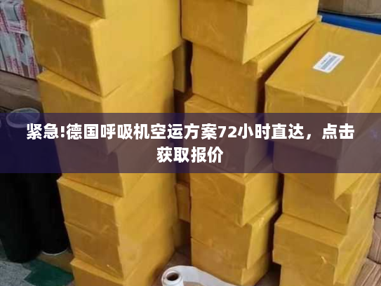 紧急!德国呼吸机空运方案72小时直达,点击获取报价 紧急!德国呼吸机空运方案72小时直达,点击获取报价