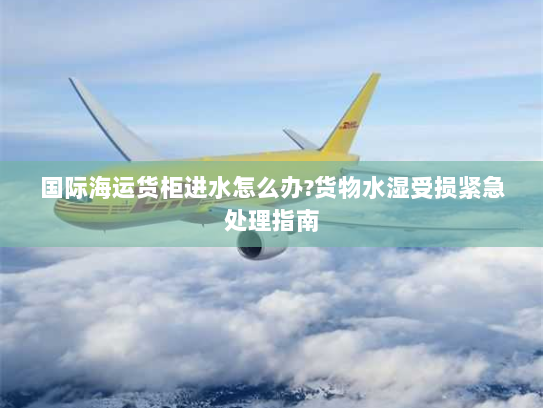 国际海运货柜进水怎么办?货物水湿受损紧急处理指南 国际海运货柜进水怎么办?货物水湿受损紧急处理指南