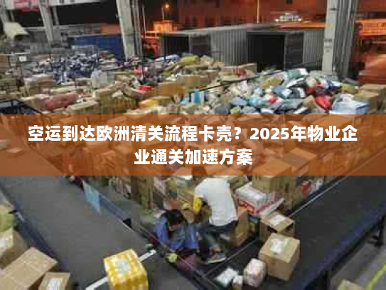 空运到达欧洲清关流程卡壳？2025年物业企业通关加速方案