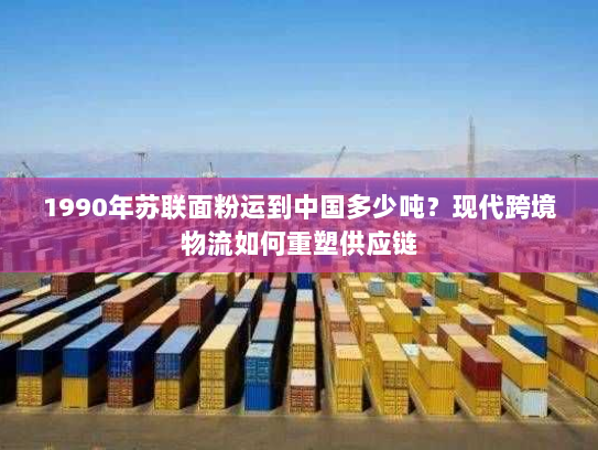 1990年苏联面粉运到中国多少吨？现代跨境物流如何重塑供应链