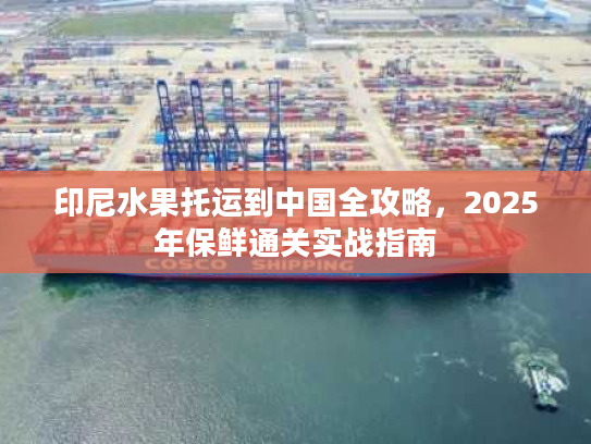 印尼水果托运到中国全攻略，2025年保鲜通关实战指南