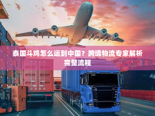 泰国斗鸡怎么运到中国?跨境物流专家解析完整流程 泰国斗鸡怎么运到中国?跨境物流专家解析完整流程