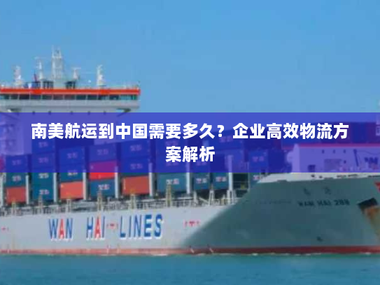 南美航运到中国需要多久?企业高效物流方案解析 南美航运到中国需要多久?企业高效物流方案解析