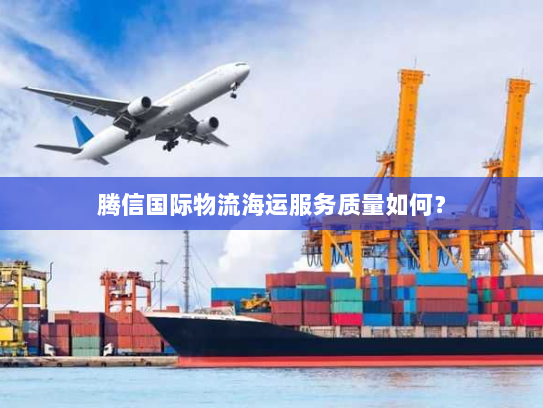 腾信国际物流海运服务质量如何？
