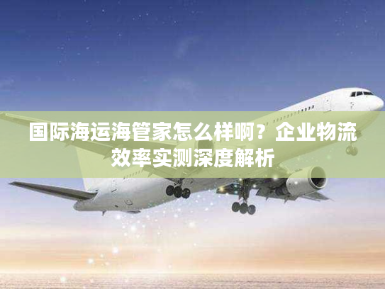 国际海运海管家怎么样啊？企业物流效率实测深度解析