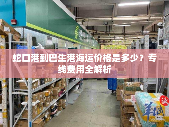 蛇口港到巴生港海运价格是多少？专线费用全解析