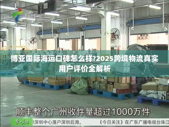 博亚国际海运口碑怎么样?2025跨境物流真实用户评价全解析 博亚国际海运口碑怎么样?2025跨境物流真实用户评价全解析