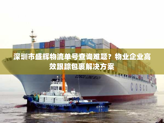 深圳市盛辉物流单号查询难题？物业企业高效跟踪包裹解决方案