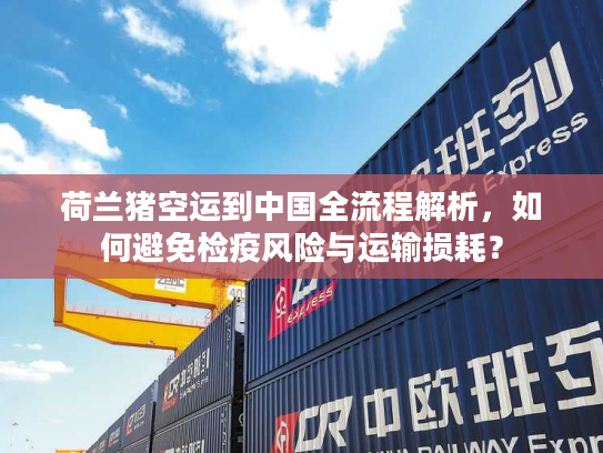 荷兰猪空运到中国全流程解析，如何避免检疫风险与运输损耗？