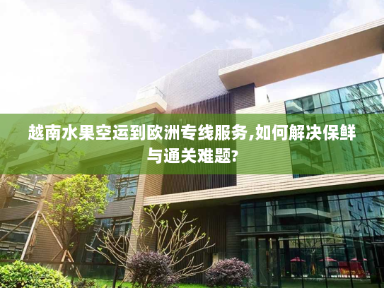 越南水果空运到欧洲专线服务,如何解决保鲜与通关难题?