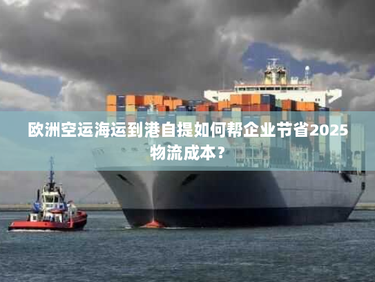 欧洲空运海运到港自提如何帮企业节省2025物流成本？
