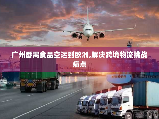 广州番禺食品空运到欧洲,解决跨境物流挑战痛点 广州番禺食品空运到欧洲,解决跨境物流挑战痛点