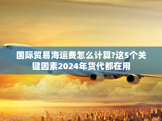 国际贸易海运费怎么计算?这5个关键因素2024年货代都在用