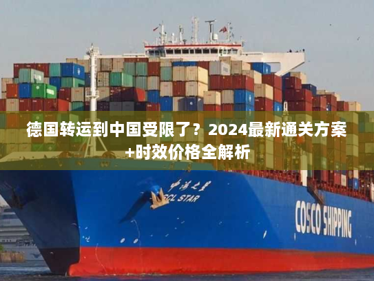 德国转运到中国受限了?2024最新通关方案+时效价格全解析 德国转运到中国受限了?2024最新通关方案+时效价格全解析