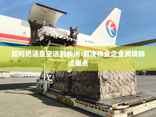 如何把活鱼空运到欧洲:解决物业企业跨境物流痛点 如何把活鱼空运到欧洲:解决物业企业跨境物流痛点