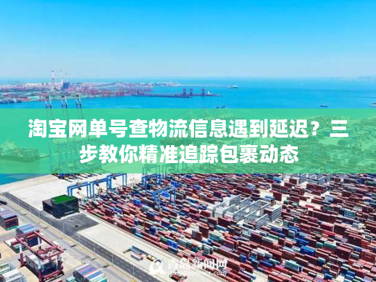 淘宝网单号查物流信息遇到延迟？三步教你精准追踪包裹动态