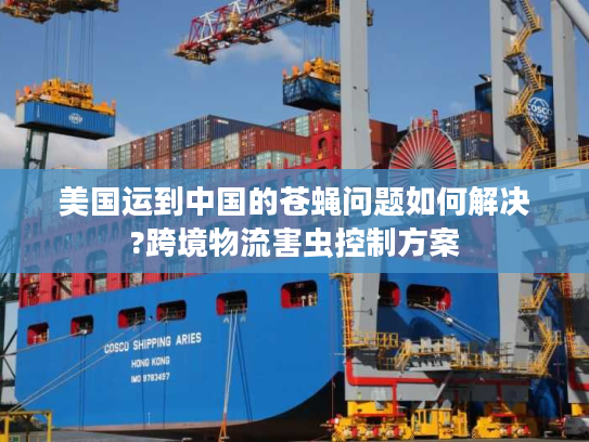 美国运到中国的苍蝇问题如何解决?跨境物流害虫控制方案