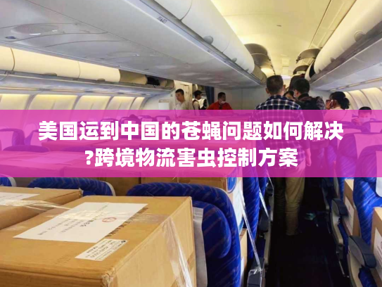 美国运到中国的苍蝇问题如何解决?跨境物流害虫控制方案