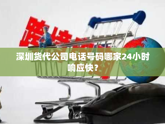 深圳货代公司电话号码哪家24小时响应快？