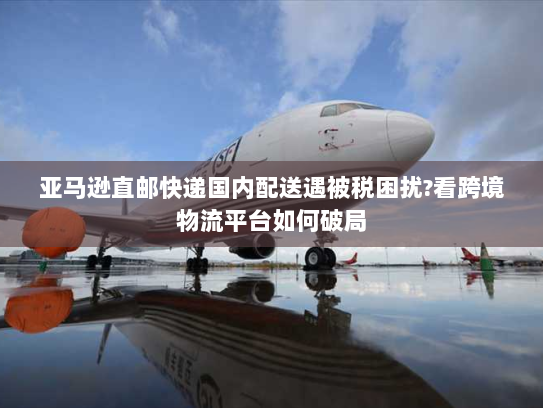 亚马逊直邮快递国内配送遇被税困扰?看跨境物流平台如何破局 亚马逊直邮快递国内配送遇被税困扰?看跨境物流平台如何破局