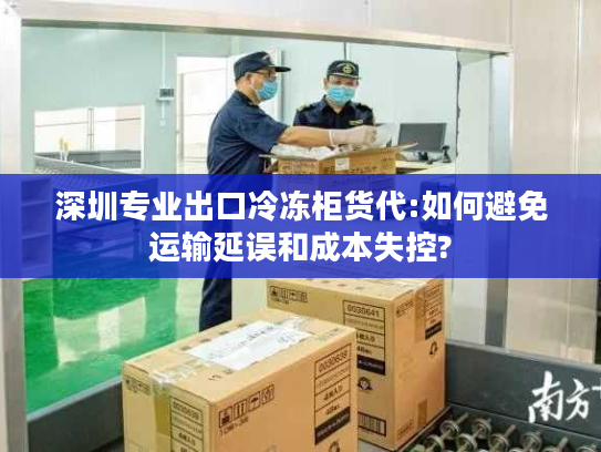 深圳专业出口冷冻柜货代:如何避免运输延误和成本失控?