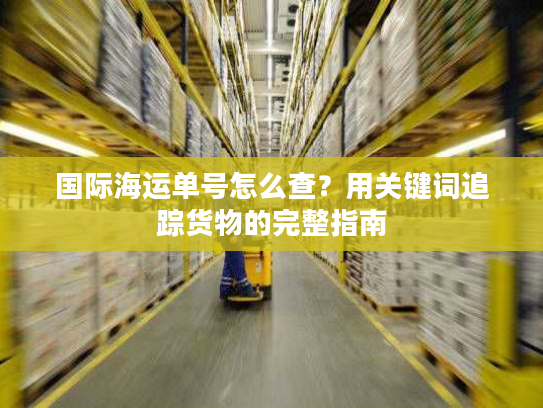 国际海运单号怎么查？用关键词追踪货物的完整指南