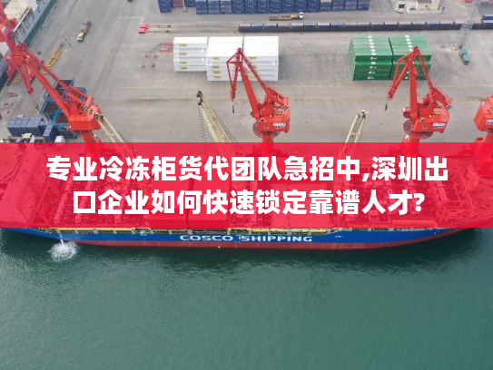 专业冷冻柜货代团队急招中,深圳出口企业如何快速锁定靠谱人才?