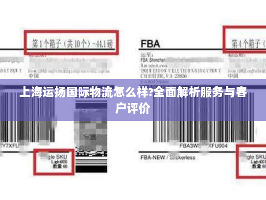 上海运扬国际物流怎么样?全面解析服务与客户评价 上海运扬国际物流怎么样?全面解析服务与客户评价