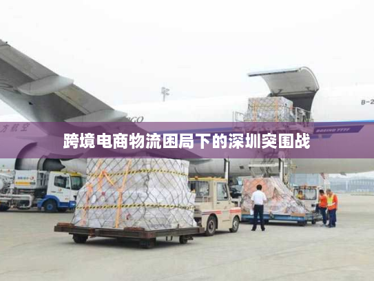 跨境电商物流困局下的深圳突围战 跨境电商物流困局下的深圳突围战