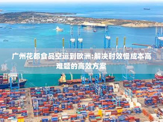 广州花都食品空运到欧洲:解决时效慢成本高难题的高效方案 广州花都食品空运到欧洲:解决时效慢成本高难题的高效方案