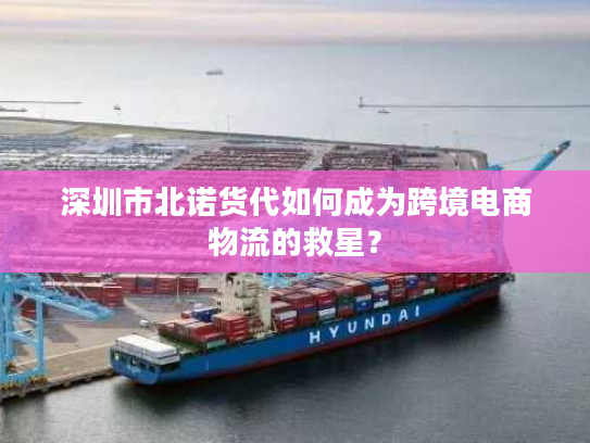 深圳市北诺货代如何成为跨境电商物流的救星? 深圳市北诺货代如何成为跨境电商物流的救星?