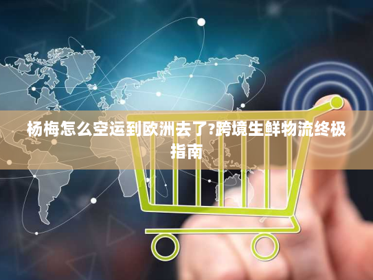 杨梅怎么空运到欧洲去了?跨境生鲜物流终极指南 杨梅怎么空运到欧洲去了?跨境生鲜物流终极指南