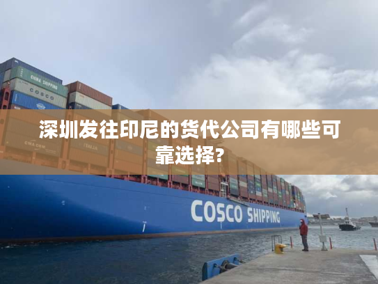 深圳发往印尼的货代公司有哪些可靠选择?