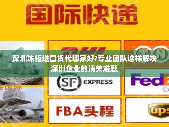 深圳冻柜进口货代哪家好?专业团队这样解决深圳企业的清关难题 深圳冻柜进口货代哪家好?专业团队这样解决深圳企业的清关难题